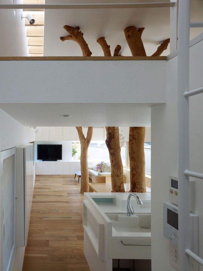trees inside the house