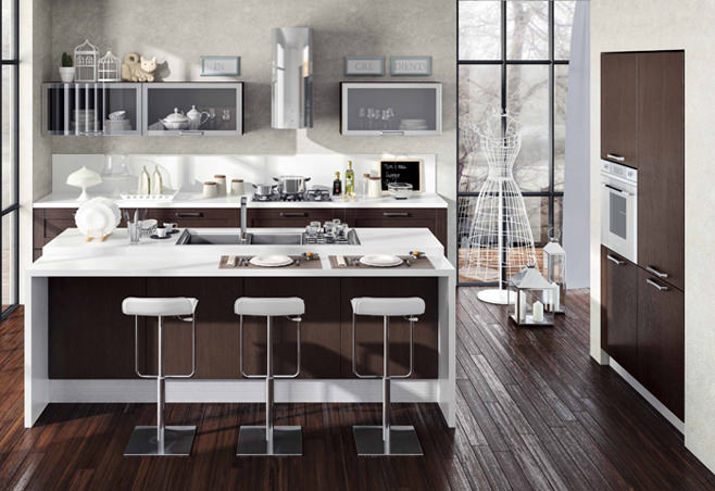 wenge color in kitchen design wenge color in kitchen design