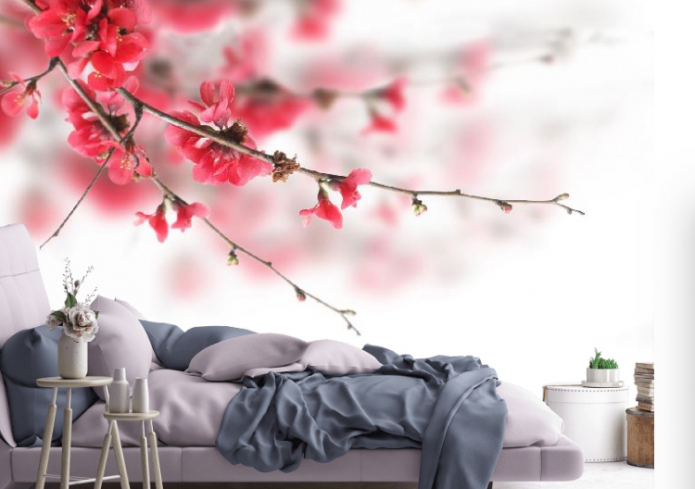 photomurals with sakura photomurals with sakura