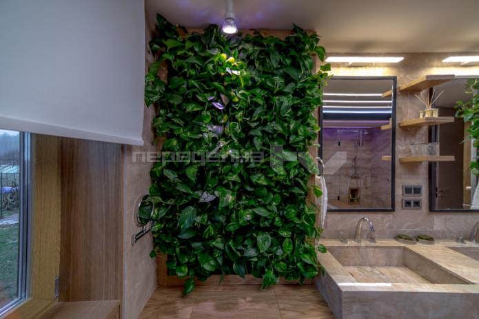 live plants on the walls in the bathroom interior live plants on the walls in the bathroom interior
