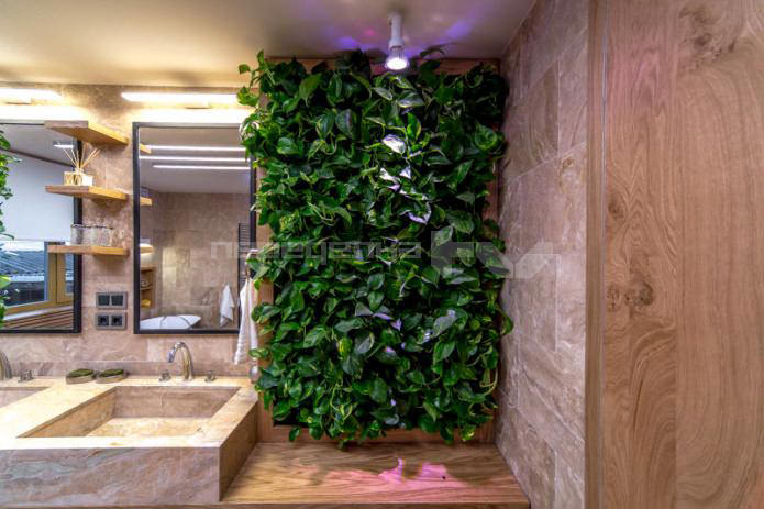 live plants on the walls in the bathroom interior live plants on the walls in the bathroom interior