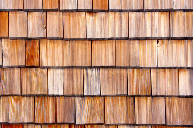 shingle roof shingle roof