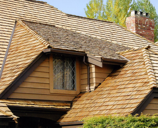shingle roof shingle roof