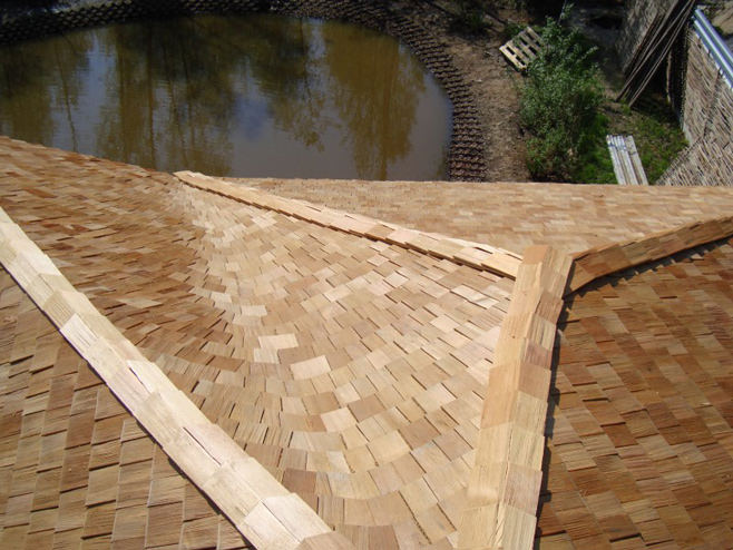 shingle roof shingle roof