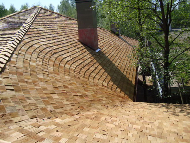 shingle roof shingle roof