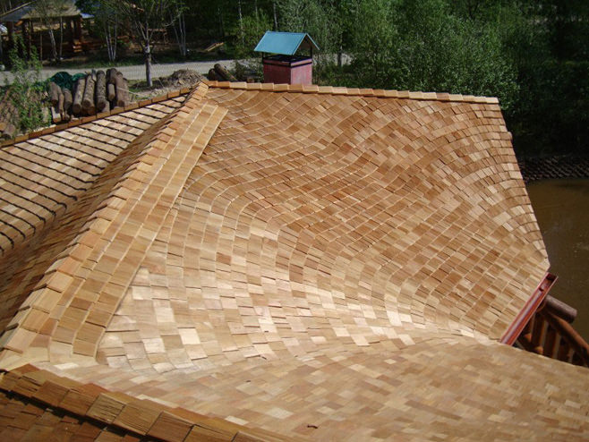shingle roof shingle roof