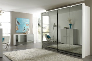 Design options for the front doors of the wardrobe