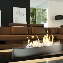 Biofireplace in the interior: types, device, body decoration, design and decor-0