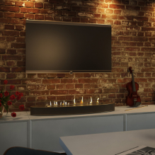 Biofireplace in the interior: types, device, body decoration, design and decor-6