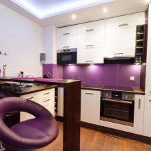 Design of a small kitchen with a bar counter-1