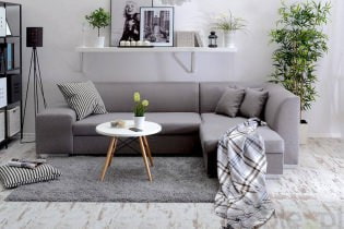 Eurobook sofa: transformation mechanism, types of sofas, photo