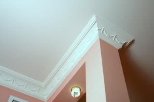 Ceiling plinth for stretch ceiling: types, recommendations for selection