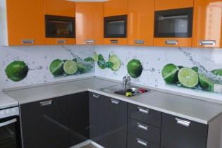 Plastic kitchen apron: types, design options, photo