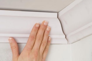 How to glue a ceiling plinth to a stretch ceiling?