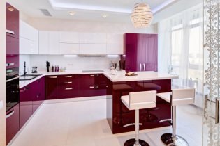 Kitchen design with a bar counter: 60 modern photos in the interior