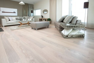 Laminate in the interior: 60 modern photos and ideas