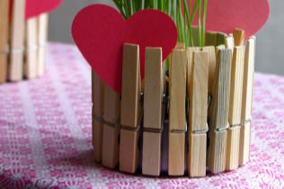 How to make a flower pot with your own hands from ordinary clothespins?