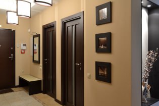 Dark doors in the interior: combination with the color of the floor, walls, furniture (60 photos)