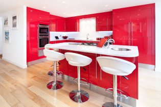 Red kitchen set: features, types, combinations, choice of style and curtains