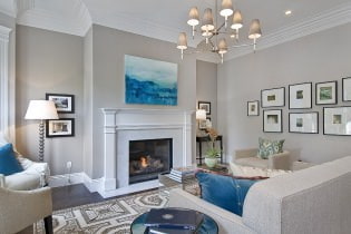 Gray walls in the interior: design, finishing materials, combinations, 75 photos