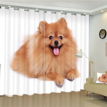 Curtains with 3D effect: types, design, examples in the interior of the kitchen, nursery, bathroom, living room and bedroom-8