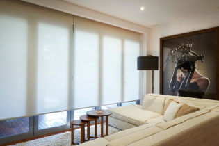How to choose roller blinds: construction, types, materials, design, color, combination