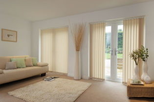 Vertical blinds: photo, construction, types, materials, design, colors