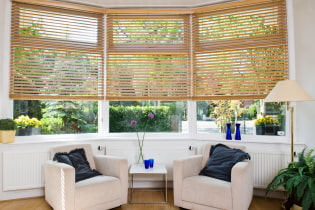 Horizontal blinds - the best photos in the interior, the principle of operation