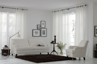 Curtains on eyelets - design features and modern ideas in the interior