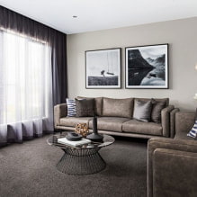 How to choose tulle in the hall: types, fabrics, colors, design, combination with other curtains-3