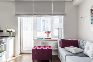 Roman blinds: photo, types, design, fabrics, color, mounting options, combination, decor