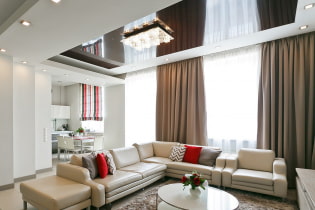 Combined plasterboard and stretch ceilings: design, color combinations, photos in the interior