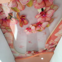 Stretch ceilings with photo printing: types, design ideas, drawings (nature, flowers, animals, etc.), lighting-0