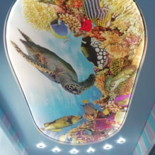 Stretch ceilings with 3d effect: design and drawings, examples in the interior of rooms-4