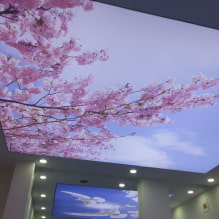 Stretch ceilings with 3d effect: design and drawings, examples in the interior of rooms-5