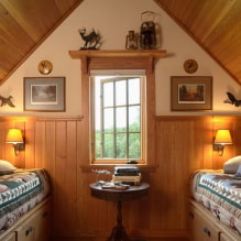 Lining ceiling: types, design ideas, color, figured decoration, lighting-1