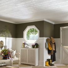 Lining ceiling: types, design ideas, color, figured decoration, lighting-2