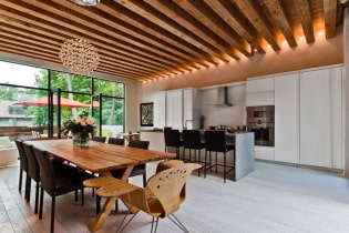 Wooden ceiling: types, design, color, lighting, examples in loft styles, minimalism, classic, provence