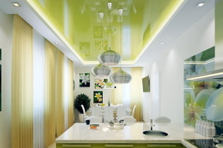 Green ceiling: design, shades, combinations, types (stretch, drywall, painting, wallpaper)