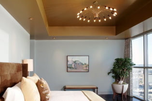 Brown ceiling: design, types (stretch, plasterboard, etc.), combinations, lighting