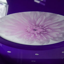 Purple ceiling: design, shades, photo for stretch and false ceilings-5