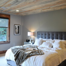 Laminate for the ceiling: color, design options, photo in the interior-4