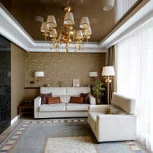 How to choose stretch ceilings: photos, types, colors, drawings, decor, original forms, lighting-7