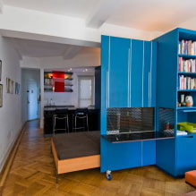 Wardrobe-partition for zoning: types, design, choice of material, color, shape-1