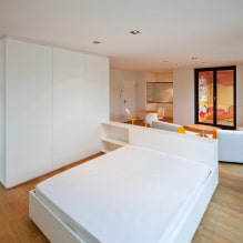 Wardrobe-partition for zoning: types, design, choice of material, color, shape-2