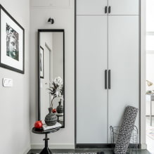 Wardrobe-partition for zoning: types, design, choice of material, color, shape-7