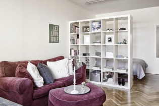 Rack-partition in the interior: types, forms, materials, design, color, filling options