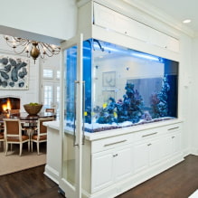 The partition between the kitchen and the living room: types, materials, forms, original ideas, design-6