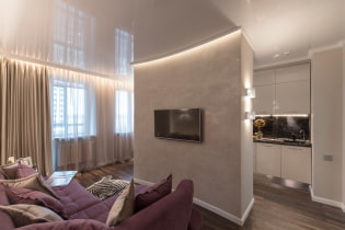 Plasterboard partitions: photos in the interior, types, shapes, design