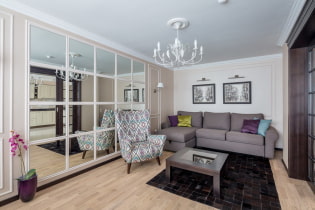 Mirrors in the living room interior: types, design, shape options, choice of location